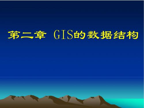 地理信息系统的数据结构