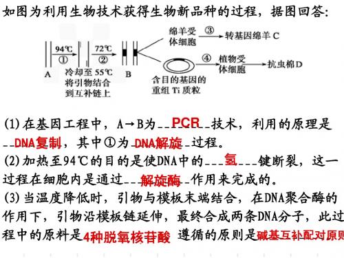 基因工程的应用