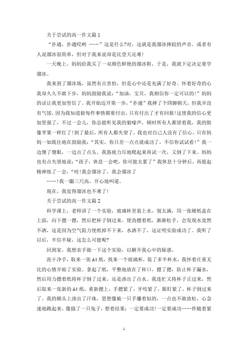精选尝试高中作文600字
