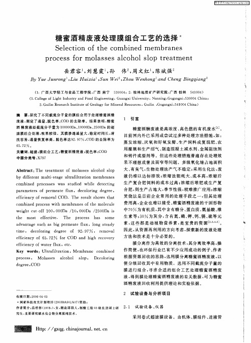 糖蜜酒精废液处理膜组合工艺的选择