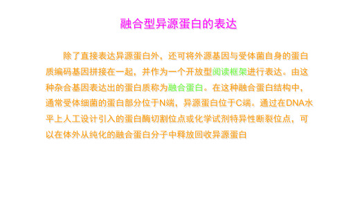 融合型异源蛋白的表达