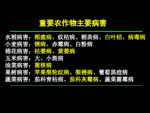 植物保护通论：第四章重要农作物病害(1) 