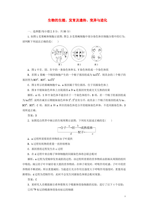 2021届高考生物一轮复习全程测控 生物的生殖 发育及遗传 变异与进化