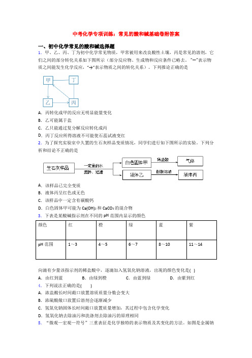 中考化学专项训练：常见的酸和碱基础卷附答案