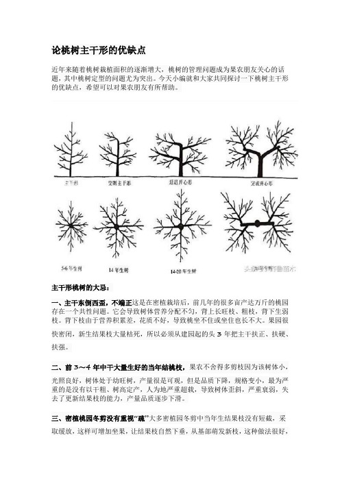 论桃树主干形的优缺点