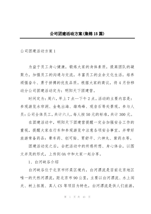 公司团建活动方案(集锦15篇)