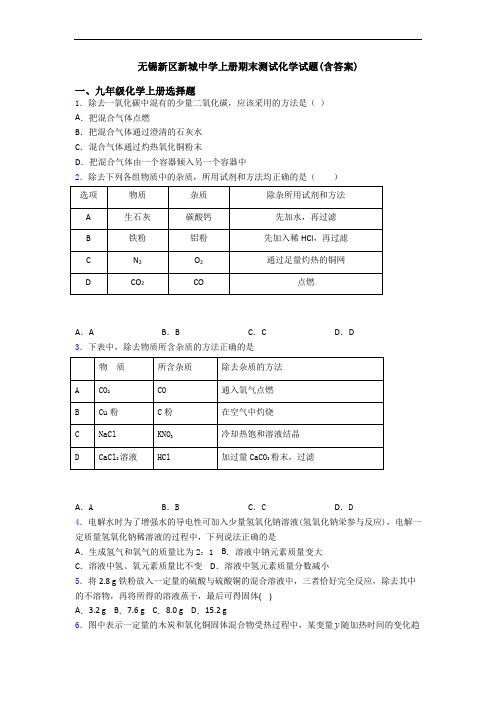 无锡新区新城中学初三化学上册期末测试化学试题(含答案)