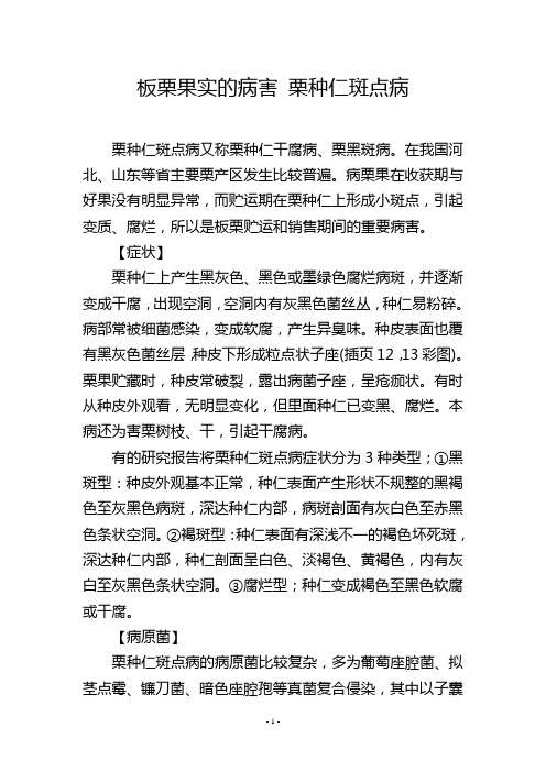 板栗果实的病害 栗种仁斑点病