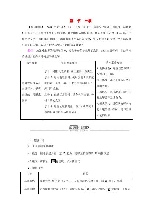 高中地理 第五章 植被与土壤 第2节 土壤学案 新人教版必修1-新人教版高一必修1地理学案