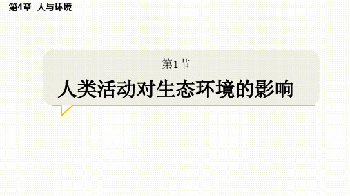 【课件】人类活动对生态环境的影响 课件 2022-2023学年高二上学期生物人教版选择性必修二