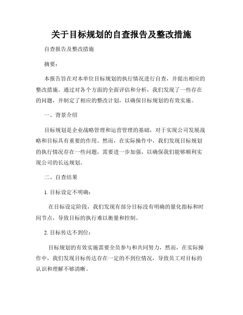 关于目标规划的自查报告及整改措施