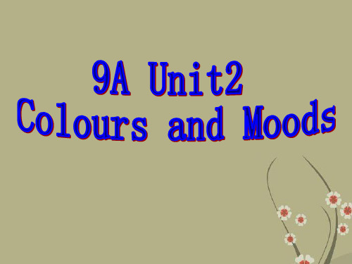 九年级英语全册《Unit 2 colour colours and moods》课件 人教新目标版