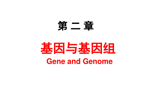 医学分子生物学-2.基因与基因组-coco