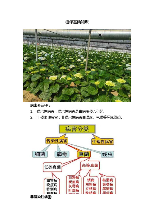 植保基础知识