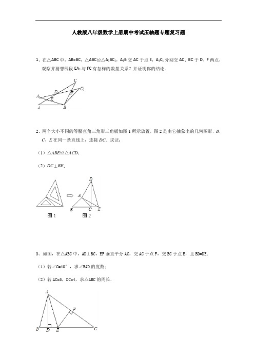 人教版八年级数学上册期中考试压轴题专题复习题(含答案)