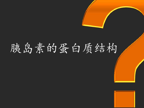 胰岛素的蛋白质结构