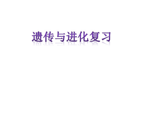 中考复习生物专题13  遗传和进化