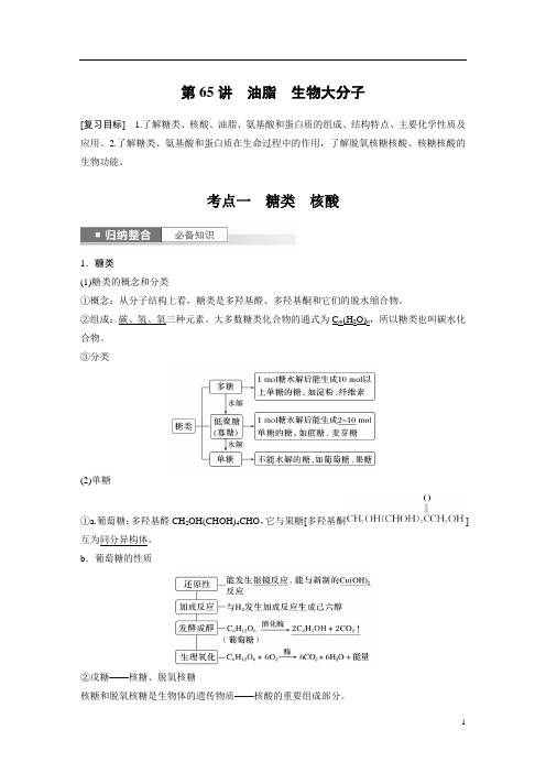 2024年高考化学一轮复习(新高考版) 第10章 第65讲 油脂 生物大分子