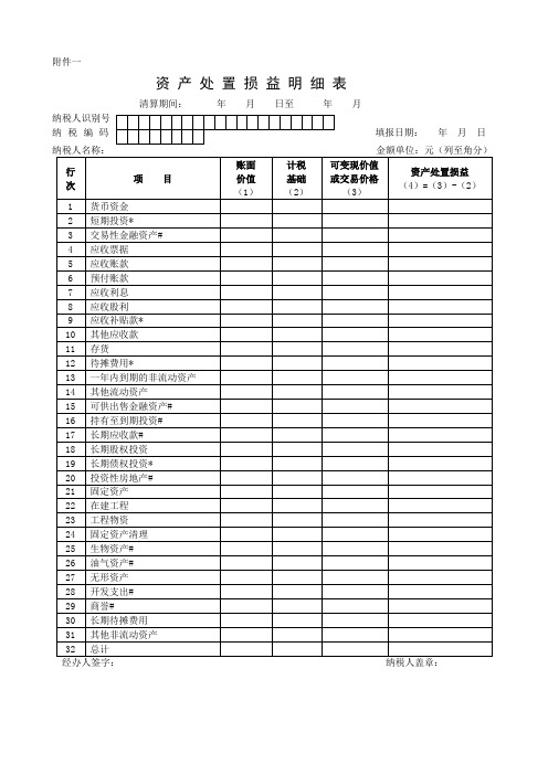 资产处置损益明细表及登写说明