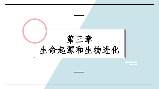 7.《地球上生命的起源》 人教版八年级下册生物课件