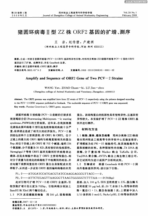 猪圆环病毒Ⅱ型ZZ株ORF2基因的扩增、测序