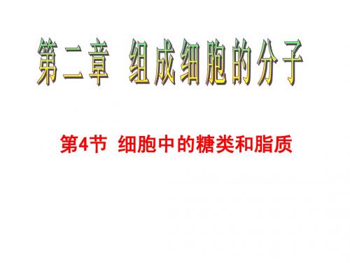 2.4细胞中的糖类和脂质