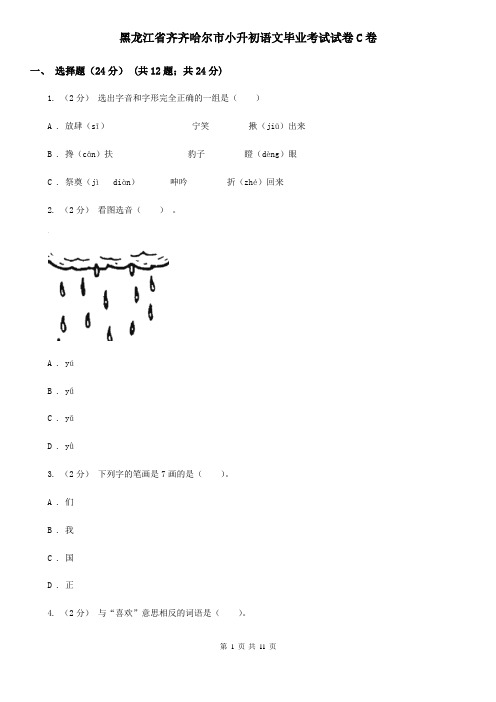 黑龙江省齐齐哈尔市小升初语文毕业考试试卷C卷