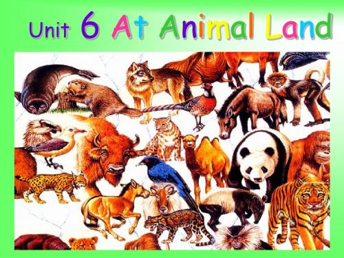 Unit6_At_animal_land