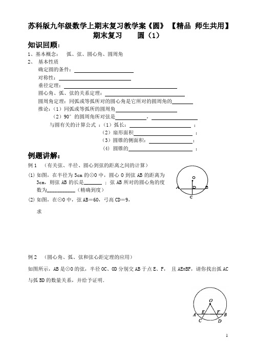 苏科版九年级数学上期末复习教学案《圆》 【精品 师生共用】