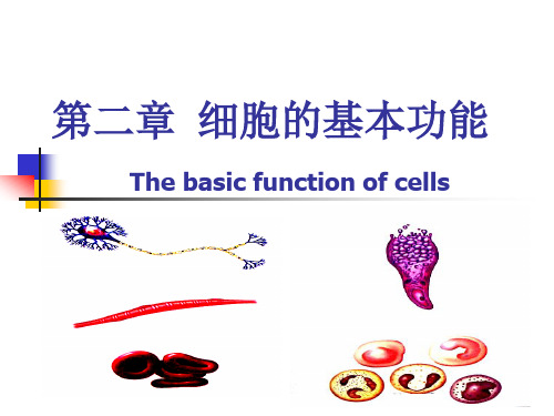 第二章细胞的基本功能(8学时)