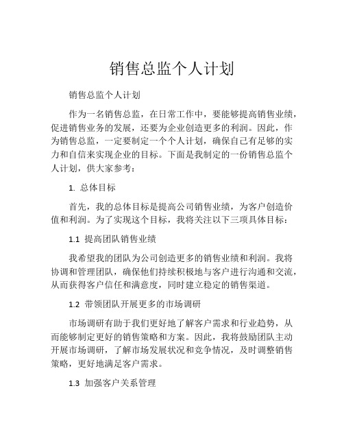 销售总监个人计划