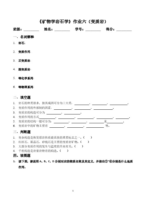 《矿物学岩石学》作业六(变质岩)