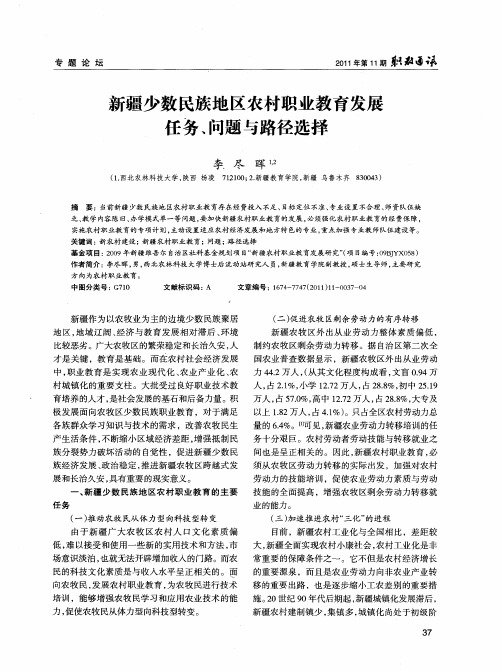 新疆少数民族地区农村职业教育发展任务、问题与路径选择