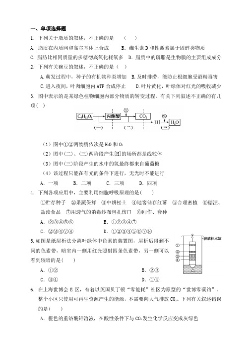 高中生物必修一必修二综合练习2014.11.21