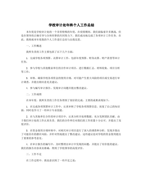 学校审计处年终个人工作总结