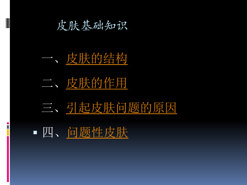 10皮肤护理基础知识汇总精品PPT课件