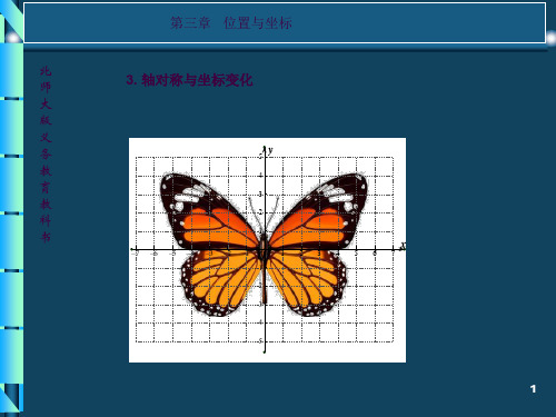 3.3轴对称与坐标变化(公开课)ppt课件