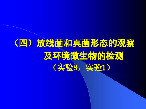 (四)放线菌和真菌形态的观察.