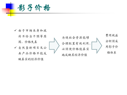 8.2影子价格