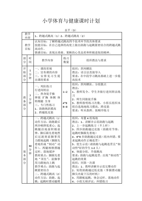 小学体育水平三《跳跃》第一课时 教案