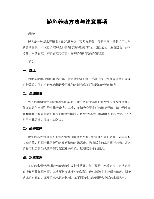 鲈鱼养殖方法与注意事项