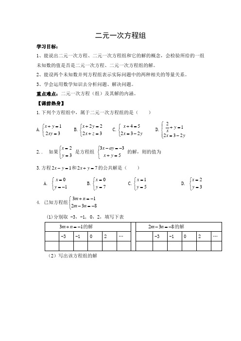 初中数学 导学案1：二元一次方程组