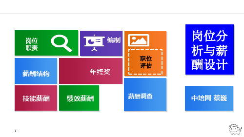 岗位分析与薪酬设计XXXX