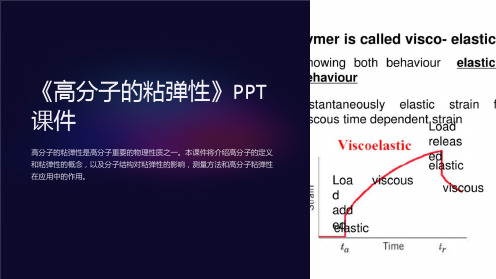 《高分子的粘弹性》课件