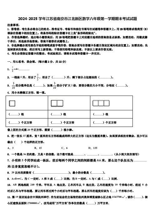 2024-2025学年江苏省南京市江北新区数学六年级第一学期期末考试试题含解析