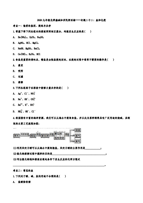 2020九年级化学基础知识巩固训练——专题二十二：盐和化肥