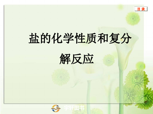 中考化学盐的化学性质和复分解反应分析