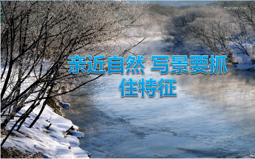 景物描写的训练