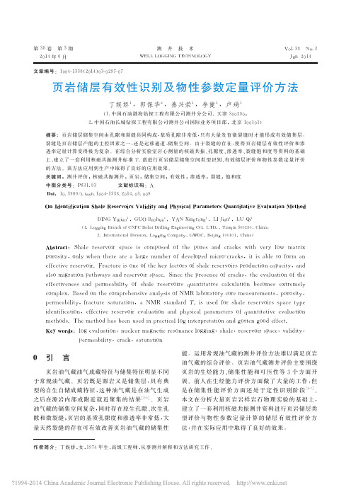 页岩储层有效性识别及物性参数定量评价方法_丁娱娇