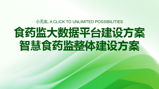 食药监大数据平台建设方案智慧食药监整体建设方案